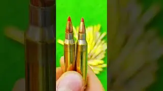 FIOCCHI 223 55gr EPN