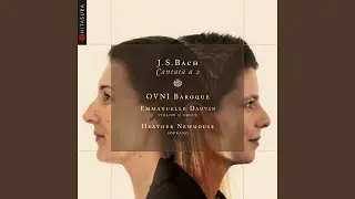 Cantate / Partita in E Major, BWV 29 / BWV 1006: No. 1, Sinfonia (Arr. pour violon et orgue...
