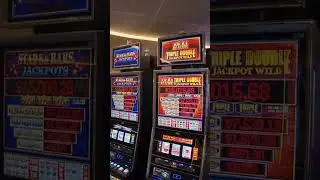 Norwegian AQUA Casino - A Brief Look #shorts