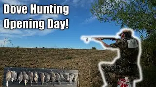 Illinois Dove Hunting - Dove Hunting Opening Day 2025!
