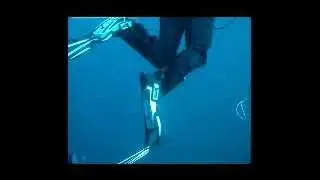 Broken fin