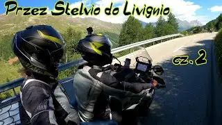 Przez Stelvio do Livignio - Osy w locie