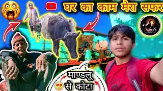 माण्डलू की ज़िंदगी छोड़ गाँव क्यों आया? | सच्चाई  |vlog |पहाड़ी जिन्दगी 😍 #पहाड़ीlife 