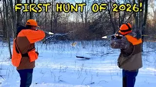 Первая охота на кроликов в 2026 году! (С Новым годом!)
