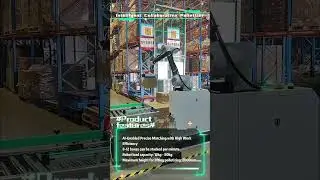 Reshaping End-of-Line Efficiency for Daily Chemical Production Lines #palletizing #automation