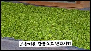 자연차 아카데미 전래차 보이차 다육이 동운암 동다원