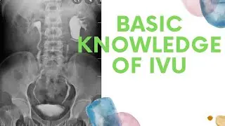 Basic Knowledge of  IVU/IVP (Ep-35) | Important for IVU/IVP | Intravenous urogram/pyelogram .
