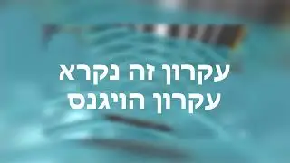 משימה בפיסיקה
