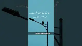 Quotes By Islamic Hour Channel