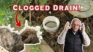 How To Inspect & Improve Yard Drainage (while we replace concrete)