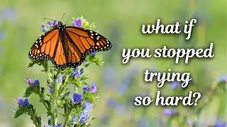 a life lesson you need to know (it's a big one)