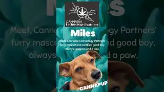 Cannabis Technology Partners' Cannapup