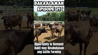 BAKAalaman Episode 21 - Opportunity in Demand: Bakit May Kinabukasan ang Cattle Farming