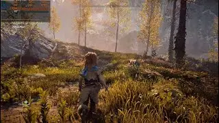 Horizon Zero Dawn PC ULTRA SETTINGS FRAMERATE TEST 1080p | RTX 2070 SUPER OC | i7 9700K