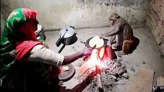 मम्मी और मंकी रानी की अमेजिंग वीडियो।। Monkey Rani with mummy cooking video 🥰🥰