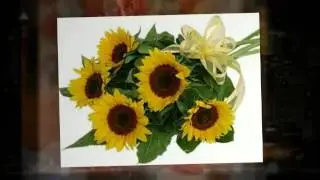 Wholesale Flowers - Dallas, Texas