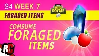 How to Find Foraged Items WEEK 7 Challenges | Fortnite (Apples, Mushrooms & Hop Rock Locations)