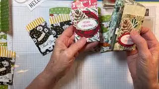Mini Pocket Envelope Dies and Hello Harvest bundle