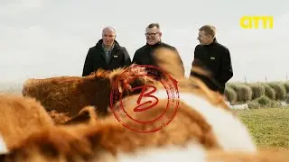 Wir in Schleswig-Holstein - Landschlachterei Burmeister