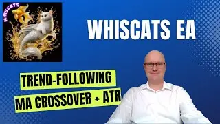 Тестирование WhisCats EA на EURUSD &mdash; бесплатный советник MT5