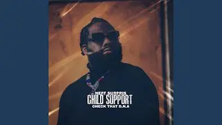 Child Support