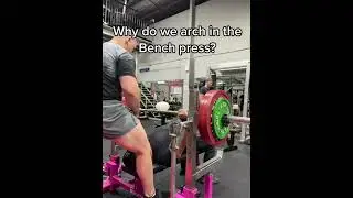 Why you SHOULD arch when Bench Pressing