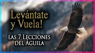 La Sabiduría del Águila ¦ 7 Lecciones de Dios para Levantarte Otra Vez