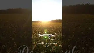Domingou de vez.#Domingou #PassoBemSolto #VibeBoa #GoodVibes #DomingoLeve #DomingoFeliz #bomdia#paz