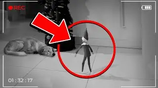 50 Times Elf On The Shelf Caught MOVING TALKING At Night On Camera! 😱