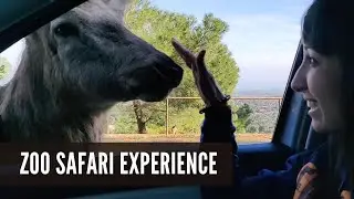 ZOO Safari Experience in Fasano Italy