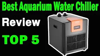 Top 5 Best Aquarium Water Chiller On 2025