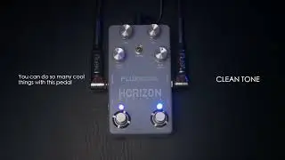 PEDAL DEMO | Horizon Devices - Flux Echo
