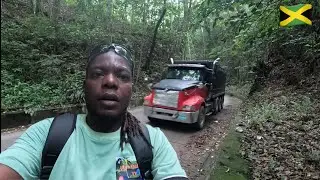 Walking Through Fern Gully Jamaica