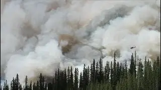 NASA Rainfall Data and Global Fire Weather