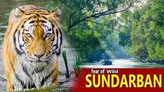 সুন্দরবন ভ্রমণ || Low Cost Sundarban Tour || Banalata Tour & Travel || Sundarban Explore