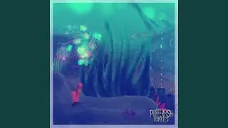 Cambrian Explosion