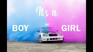 Terrorbenz gender reveal