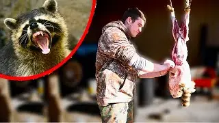 RACCOON CATCH AND COOK!