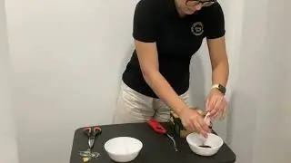 Flying Tea Bag   Student STEM Demonstration 2025
