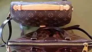 louis vuitton LV Siena PM vs Pochette Metis