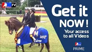 IceHorse.TV | Watch this!!!