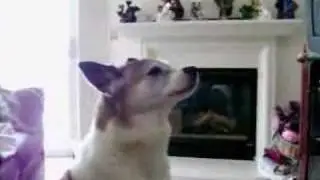 Singing Sachiko!