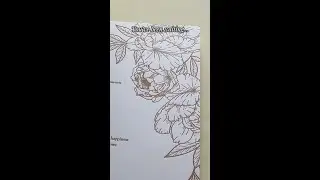 Letterpress Invites