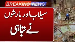 Punjab Agriculture Minister: Floods Hit Agri-Economy Hard | Relief for Victims | Such News