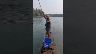 ഹൈവ അതാ വരുന്ന സാധനം #fishing #fisherman #seafishing #fish #shorts #casting