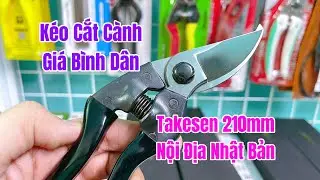 [ Tập 906 ] K&eacute;o cắt c&agrave;nh Gi&aacute; B&igrave;nh D&acirc;n Takesen 210mm nội địa Nhật Bản