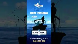 🎣Reef Fishing Australia  #goldcoastfishing