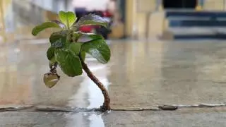 SLOW MOTION VIDEO CAPTURED BY SAMSUNG S7 EDGE