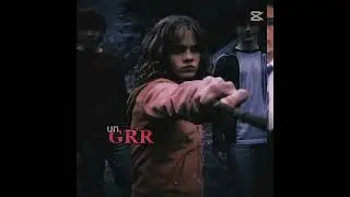 #hermione#trends#harry#muggle#potterheads