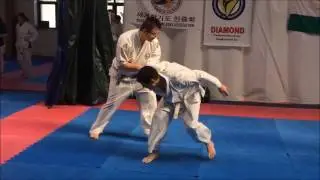 Országos Hapkido  Bajnokság 2017.03.04. Budapest